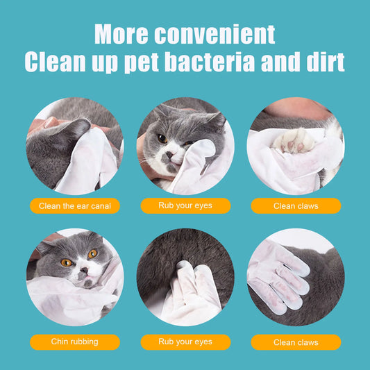 Pet Disposable Grooming Gloves - Deshedding Remover