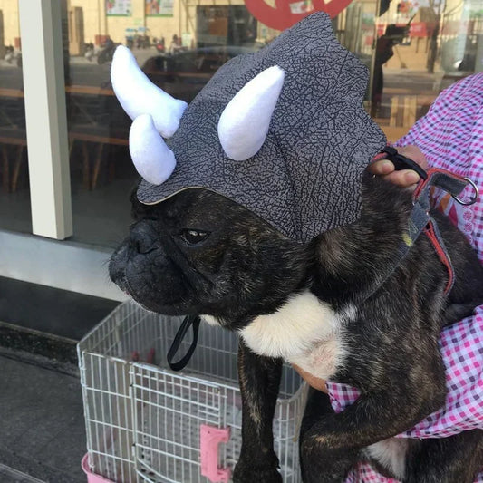 Triceratops Dinosaur Costume Hats For Pets