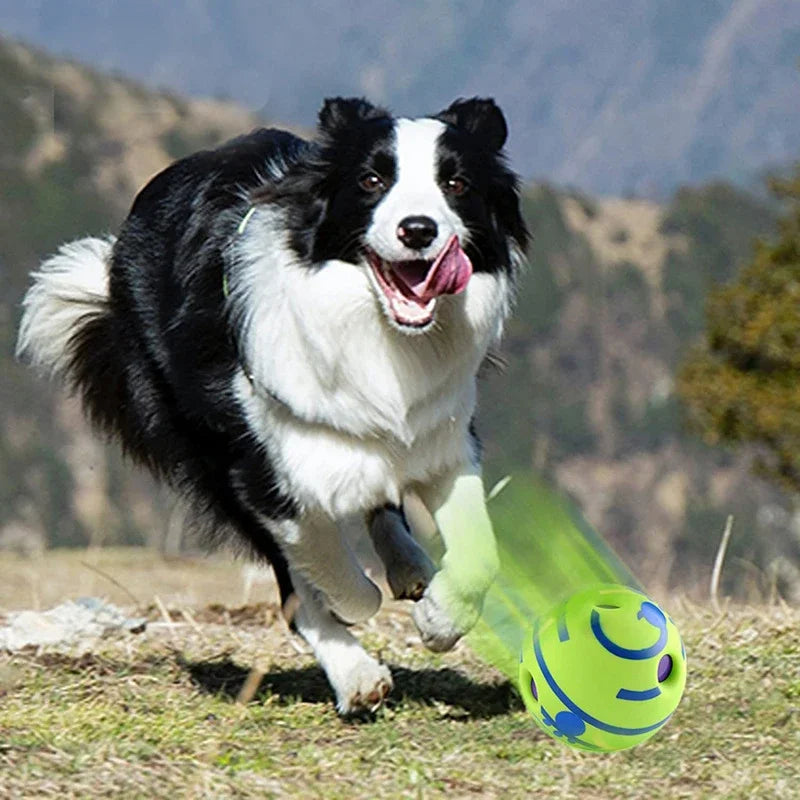 Giggle Sound Glow Ball For Dogs - Fun