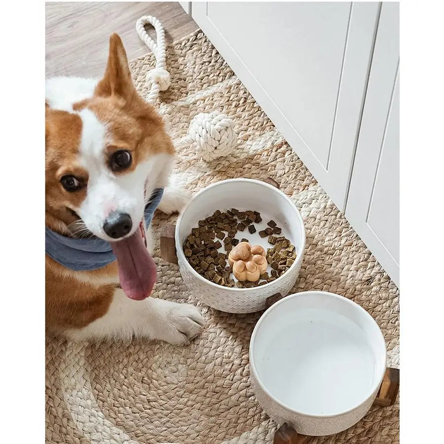 Ceramic Dual Food/Water Bowl Set