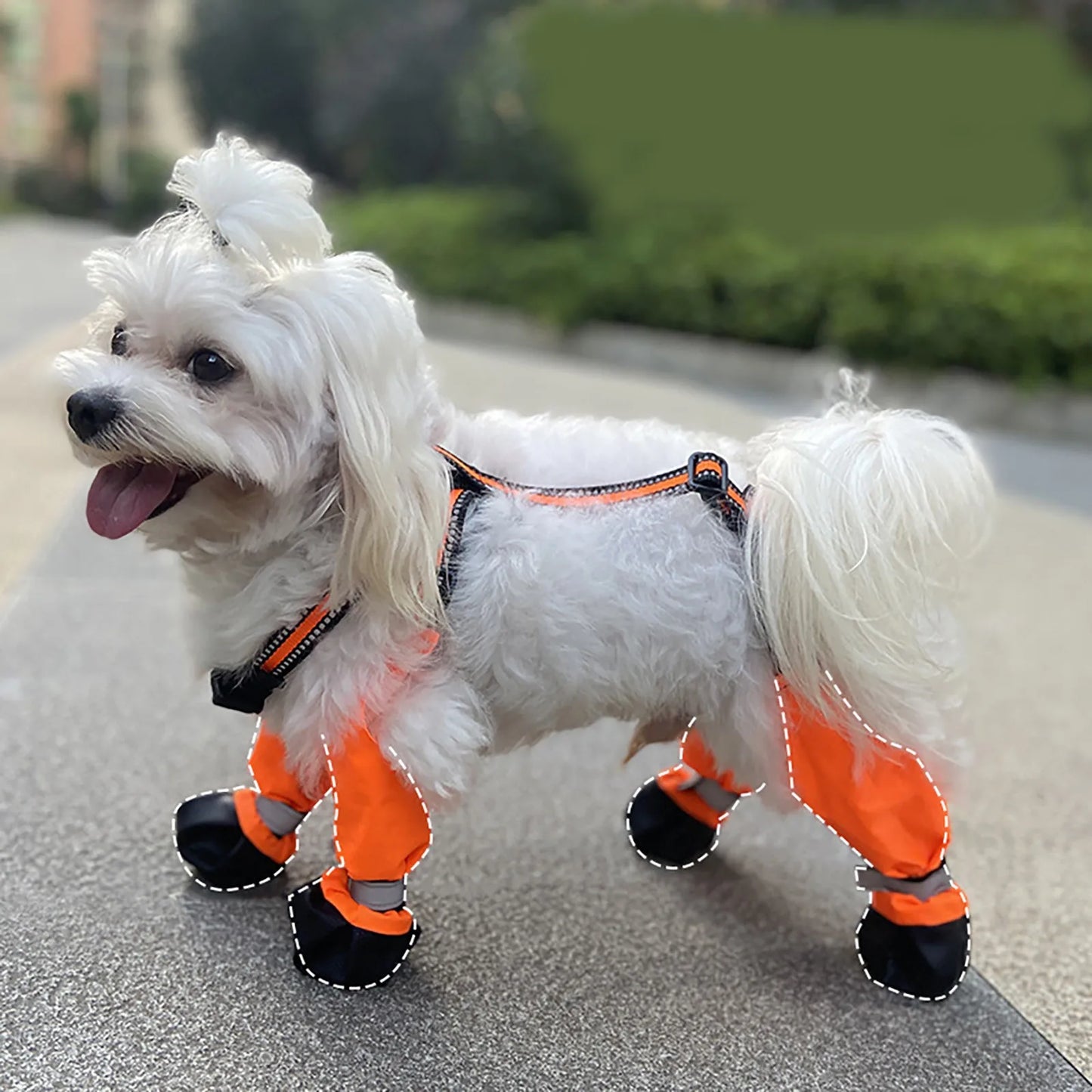 Adjustable Water Proof Dog Shoes With Suspenders