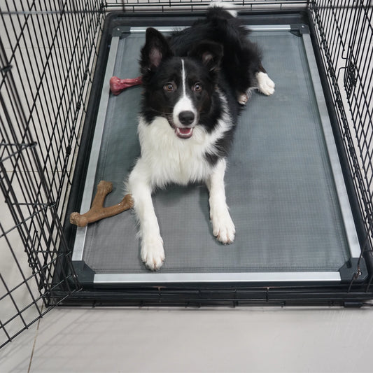 FXW Titanest Padded Dog Bed For Crate
