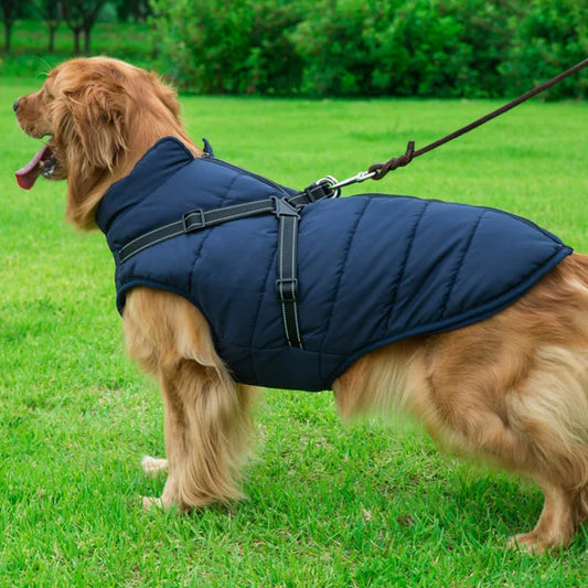 Winter Warm Waterproof Dog Jacket With Harness
