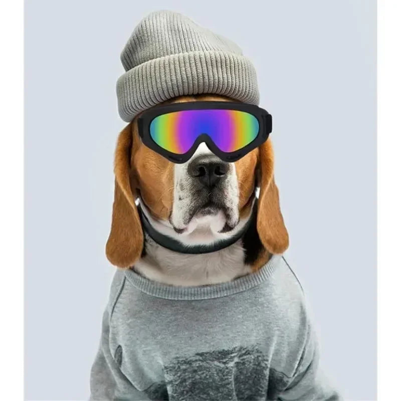 Dog Goggles with Wind, Snow, And UV Protection, Outdoor Sports