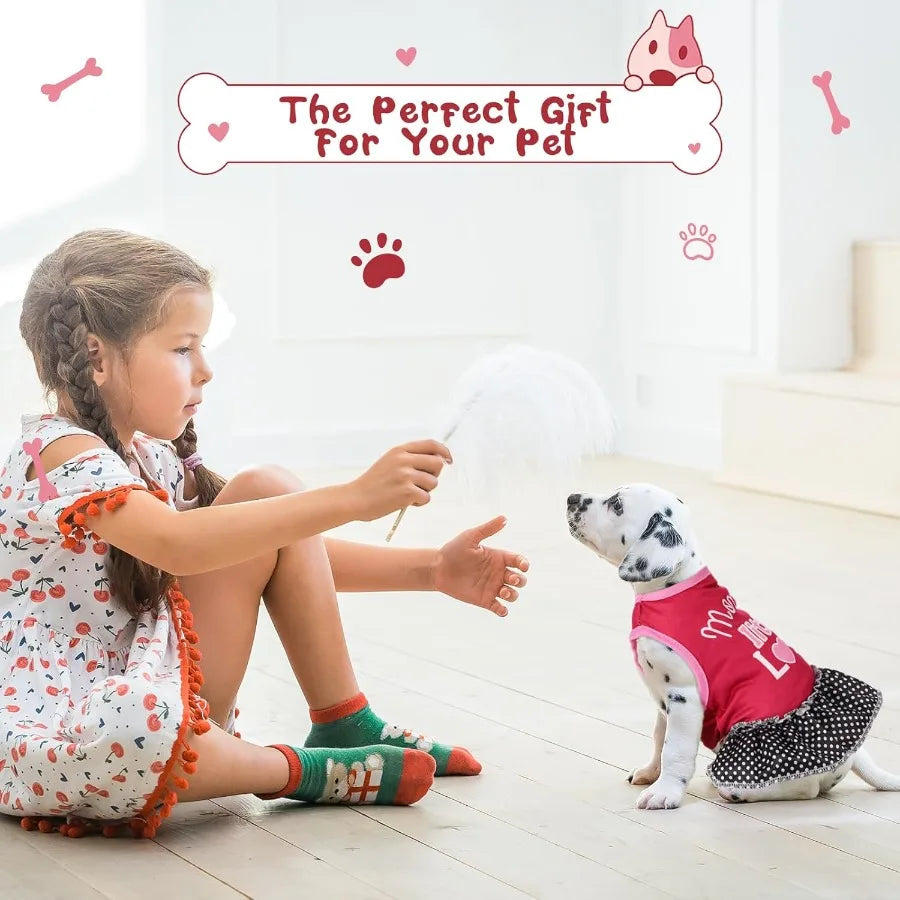 Female Pet 6 Pack Summer Sundress With Ruffles