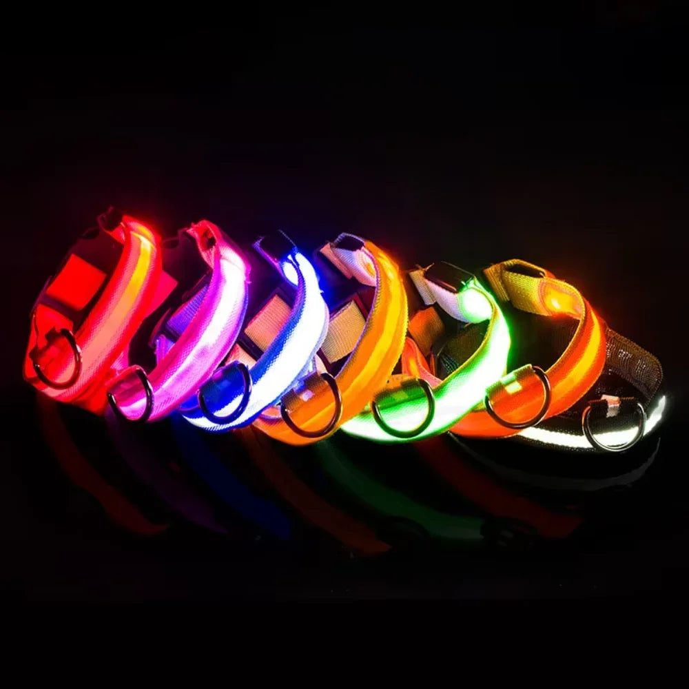 Small Dog Light Collar Leash - Training, Support