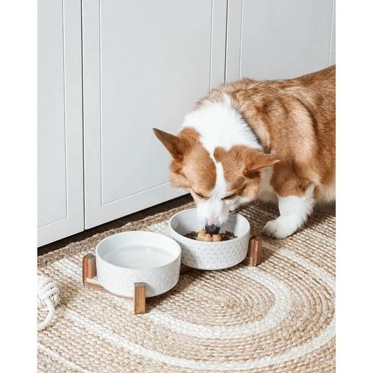 Ceramic Dual Food/Water Bowl Set