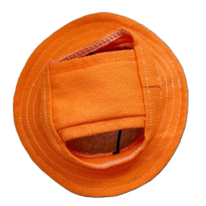 Cute Pet Hat With Ear Hole, Visor