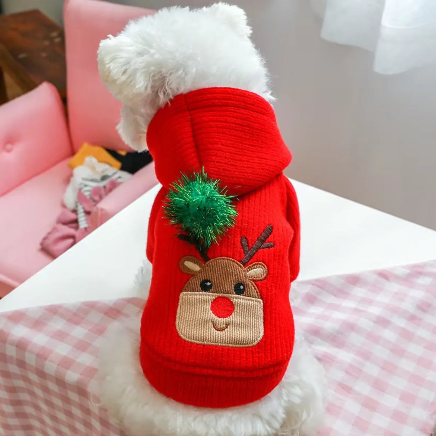 Warm Winter Christmas Skirt Dress For Small Dogs