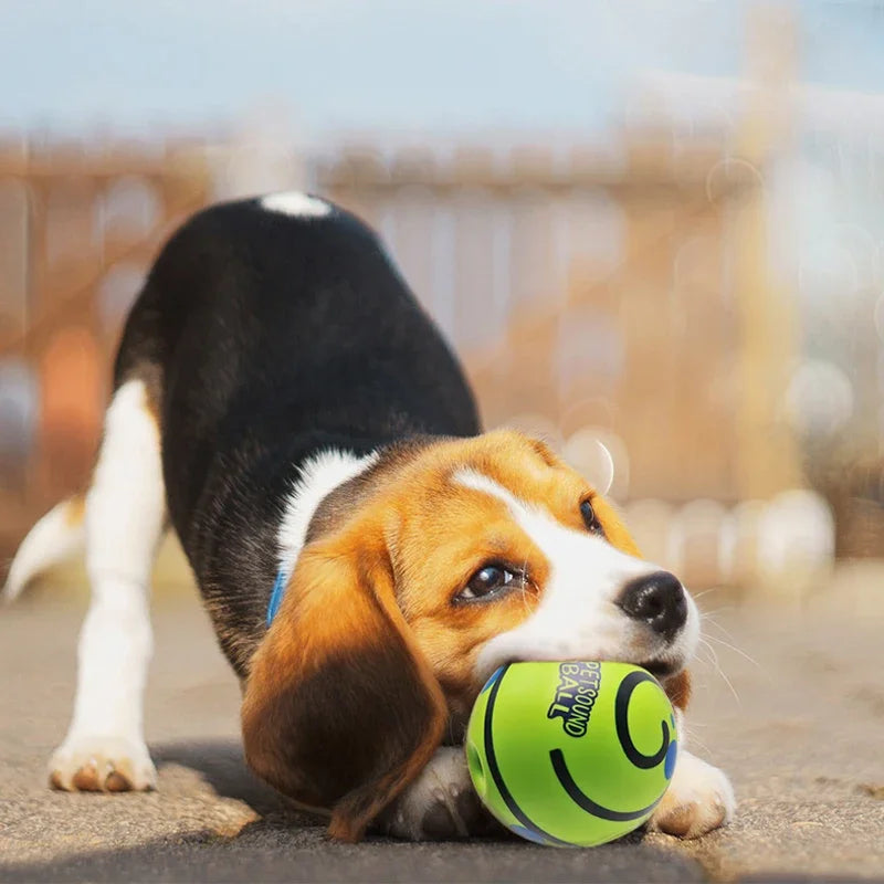 Giggle Sound Glow Ball For Dogs - Fun