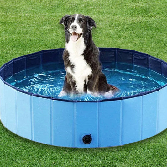 Large Dog Plastic Portable Swimming Pool With Cover
