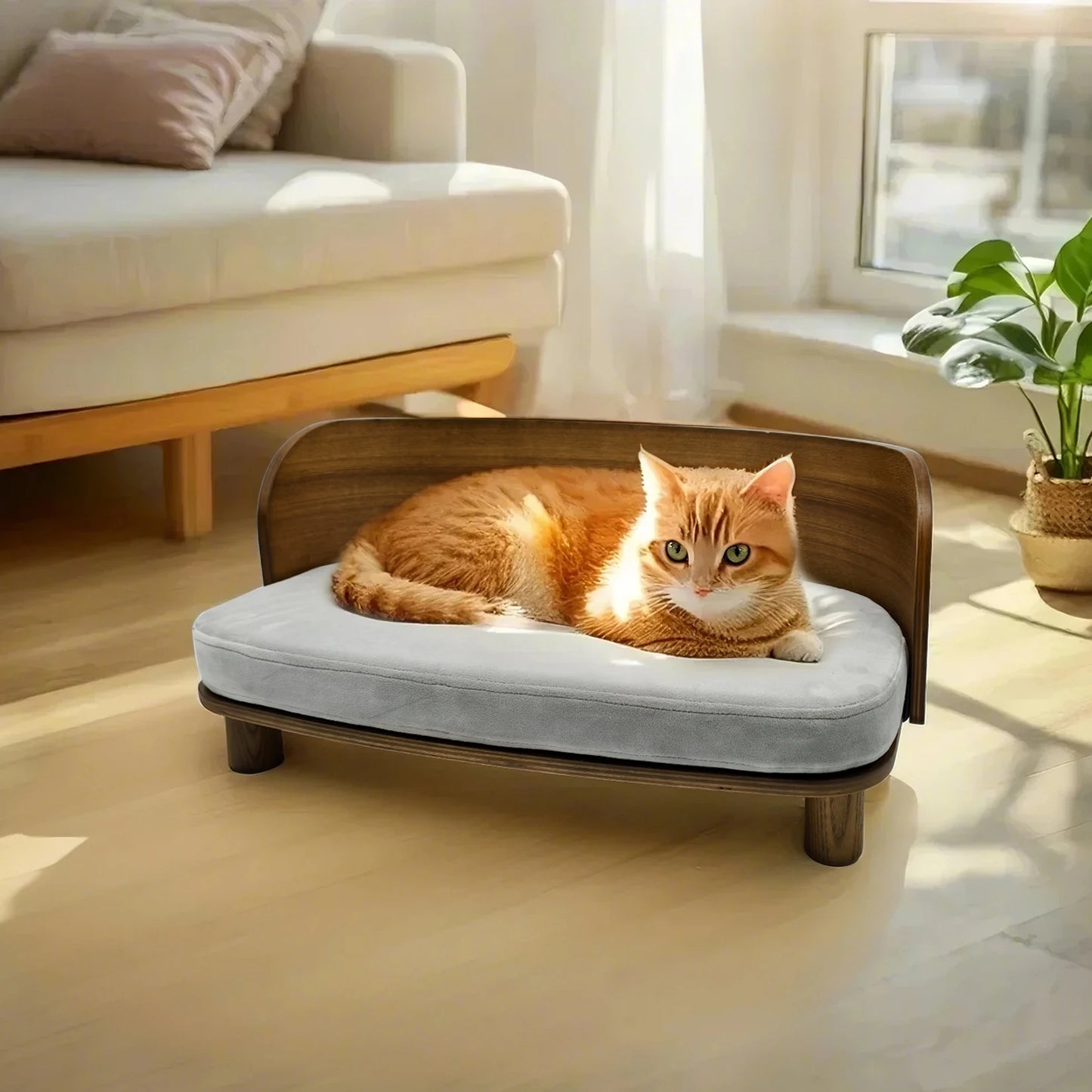 Small Elevated Pet Bed With Wooden Couch