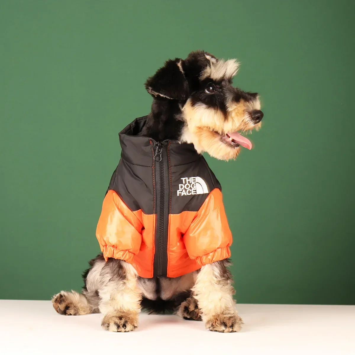 Large Winter Windproof Jacket For Small, Medium Dogs
