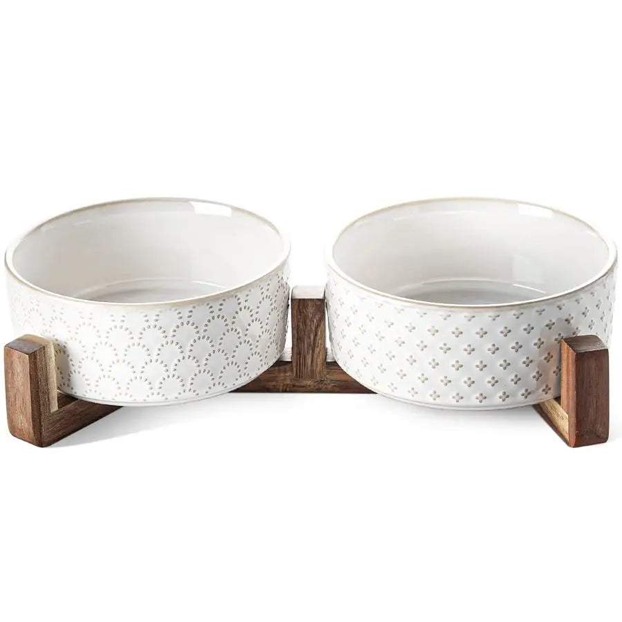 Ceramic Dual Food/Water Bowl Set