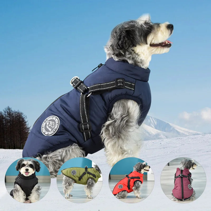 Winter Warm Waterproof Dog Jacket With Harness