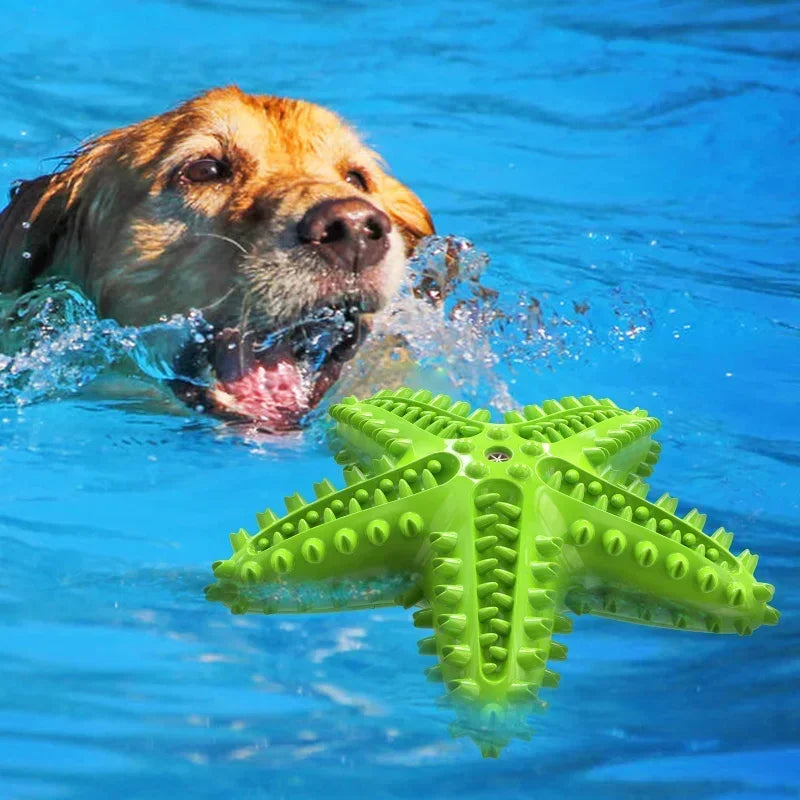 Vocal Starfish Dog Toy With Oral Cleaning