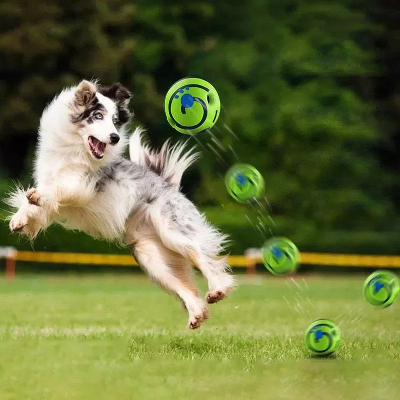 Giggle Sound Glow Ball For Dogs - Fun