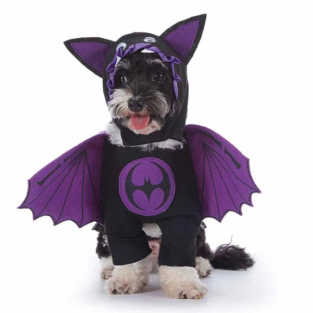 Cute & Funny Halloween Pet Costumes With Hat