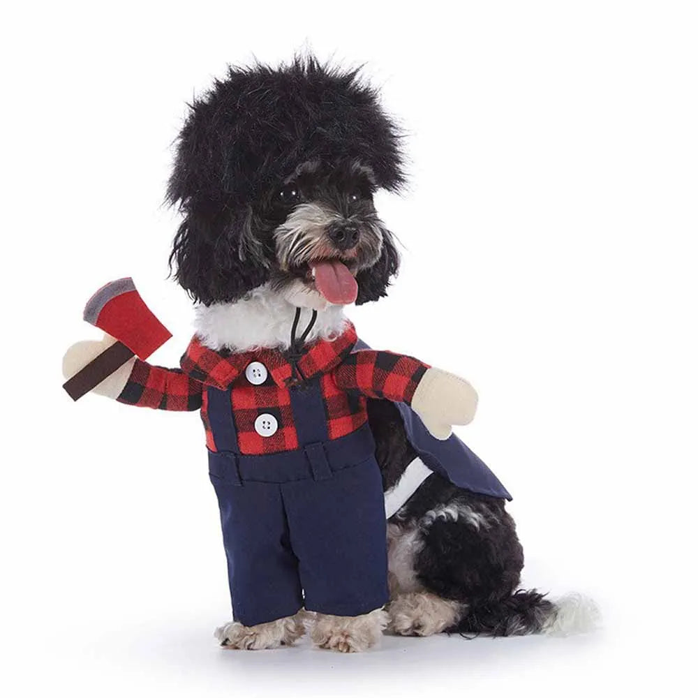 Cute & Funny Halloween Pet Costumes With Hat