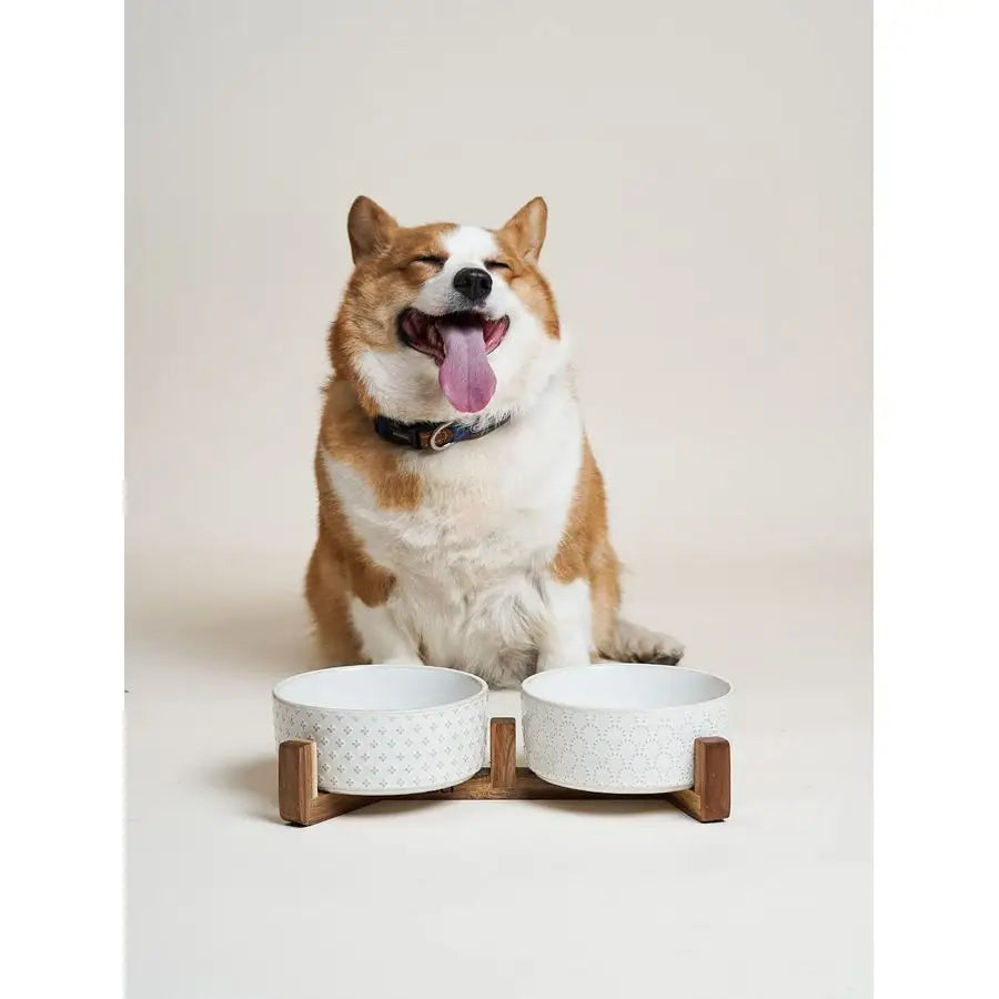Ceramic Dual Food/Water Bowl Set