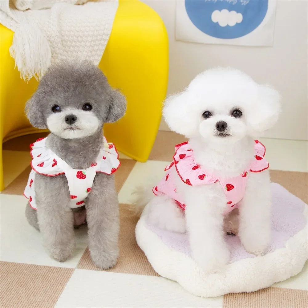 Strawberry Pattern Summer Dress For Small Dogs - Cute