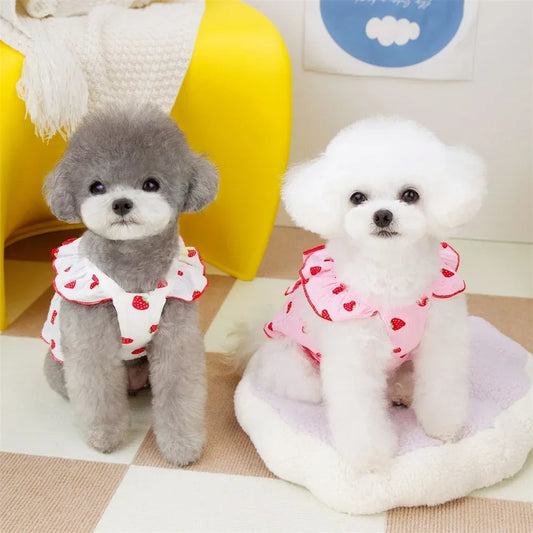 Strawberry Pattern Summer Dress For Small Dogs - Cute