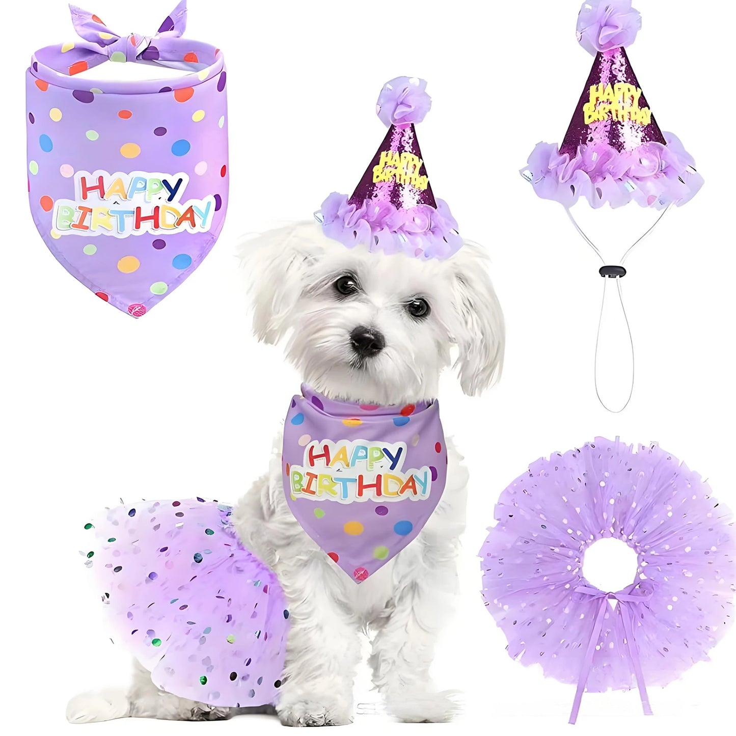 Adorable Birthday Costume Set - Hat, Skirt, Scarf