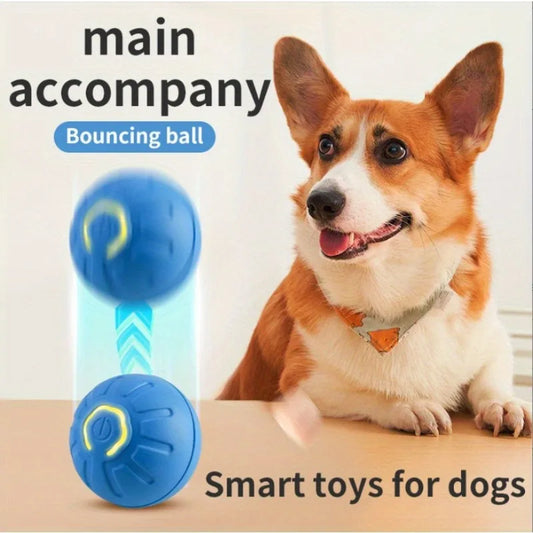 Gravity Intelligent Jumping Electric Ball For Dogs