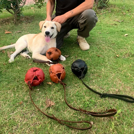 Leather Dog Ball Toy With Handle