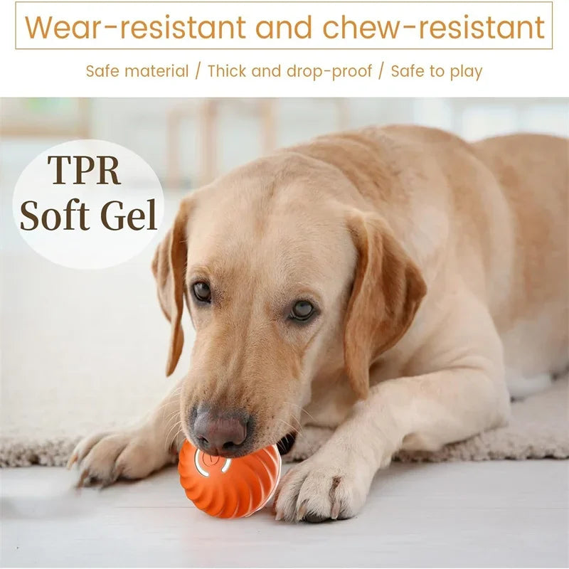 Electronic, Moving, Bouncing Ball For Pets - Automatic