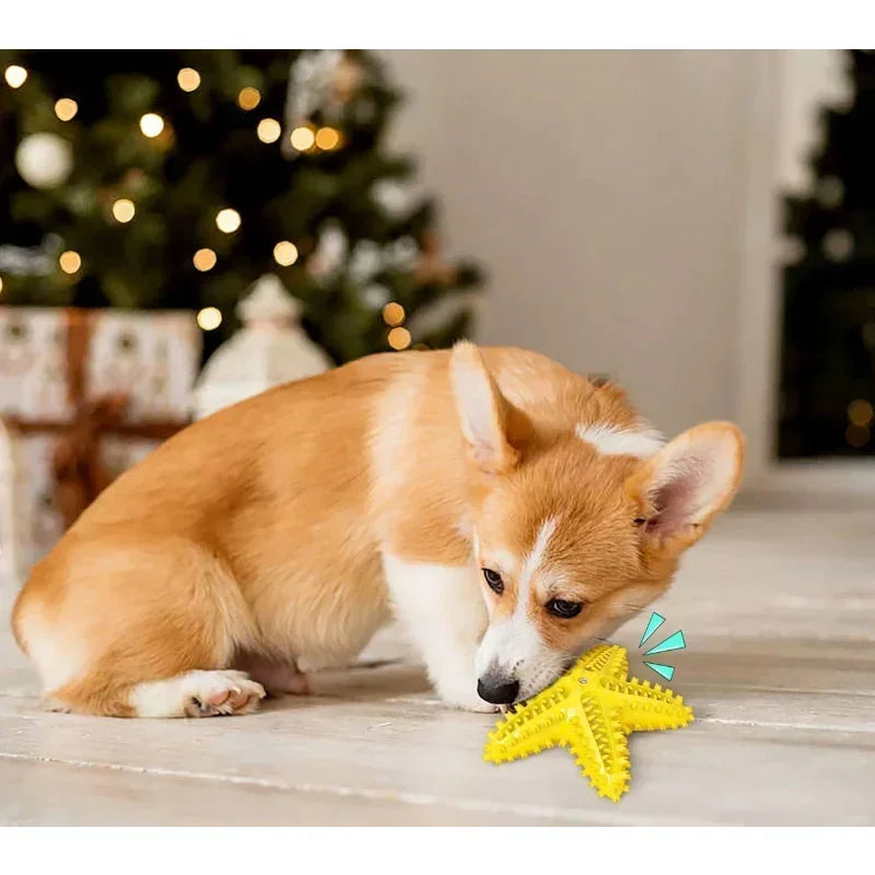 Vocal Starfish Dog Toy With Oral Cleaning