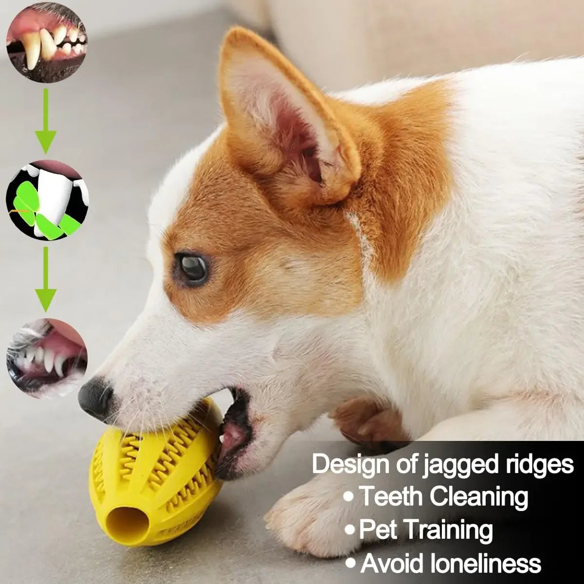 Dog Chew Toys-Natural Rubber,Snack Ball, Bouncy