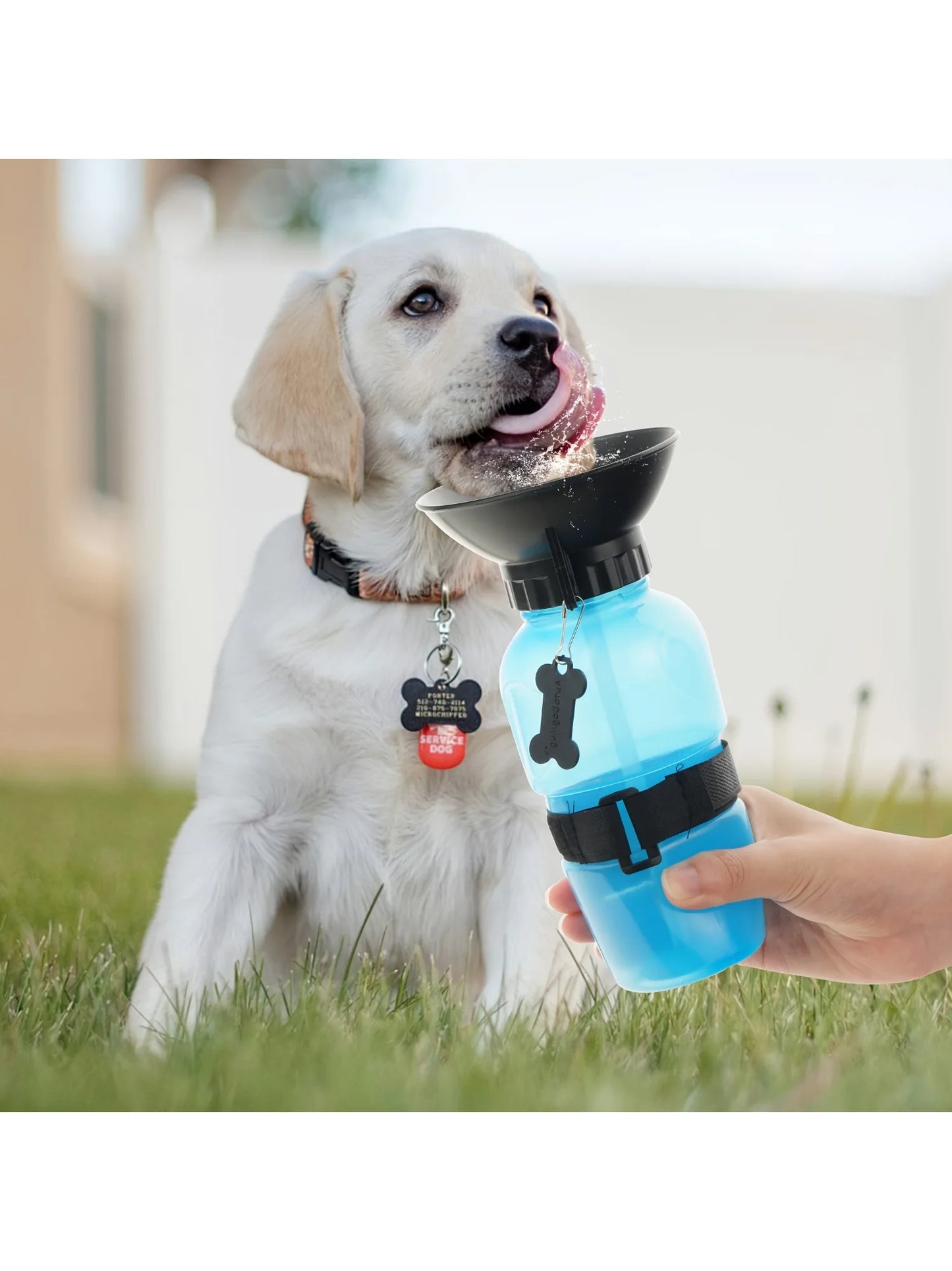 Portable Pet Water Bottle For Travel - Bowl