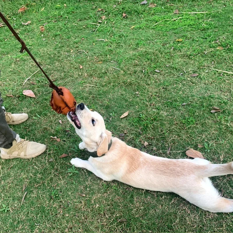 Leather Dog Ball Toy With Handle