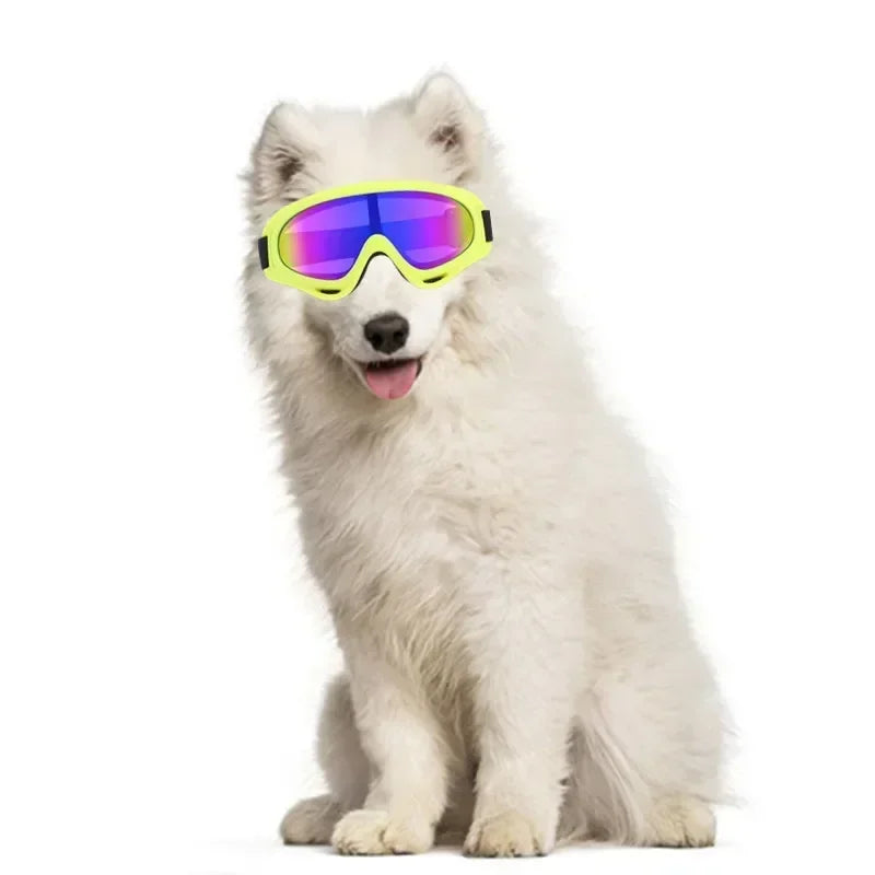 Dog Goggles with Wind, Snow, And UV Protection, Outdoor Sports