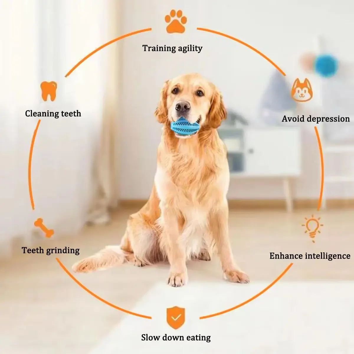 Dog Chew Toys-Natural Rubber,Snack Ball, Bouncy