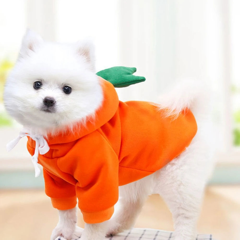 Cute Fruit Hooded Dog Costume for Small Pets