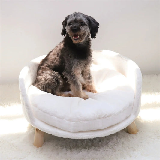 Elevated Sofa Bed With Removable Waterproof Padded Cushion