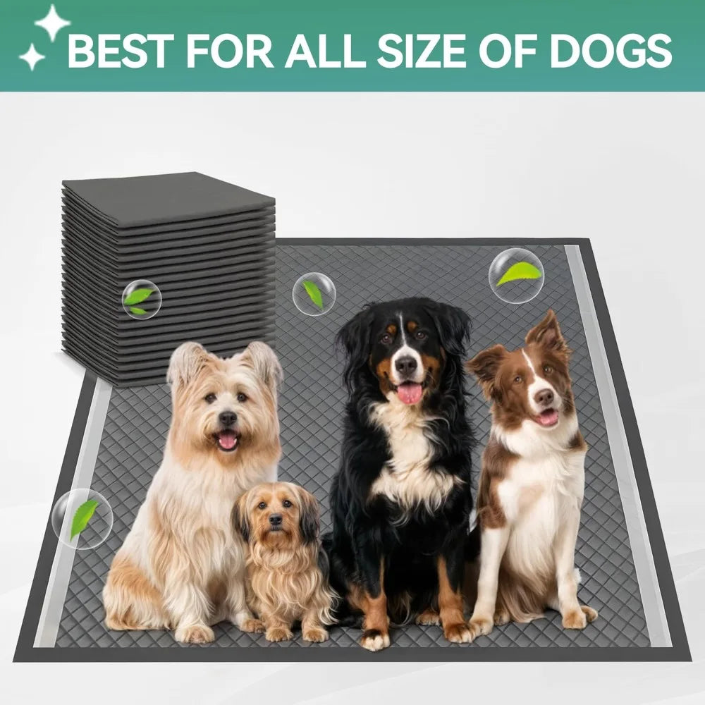 Pee Pad Holder Tray - Small/Medium/Large Dog