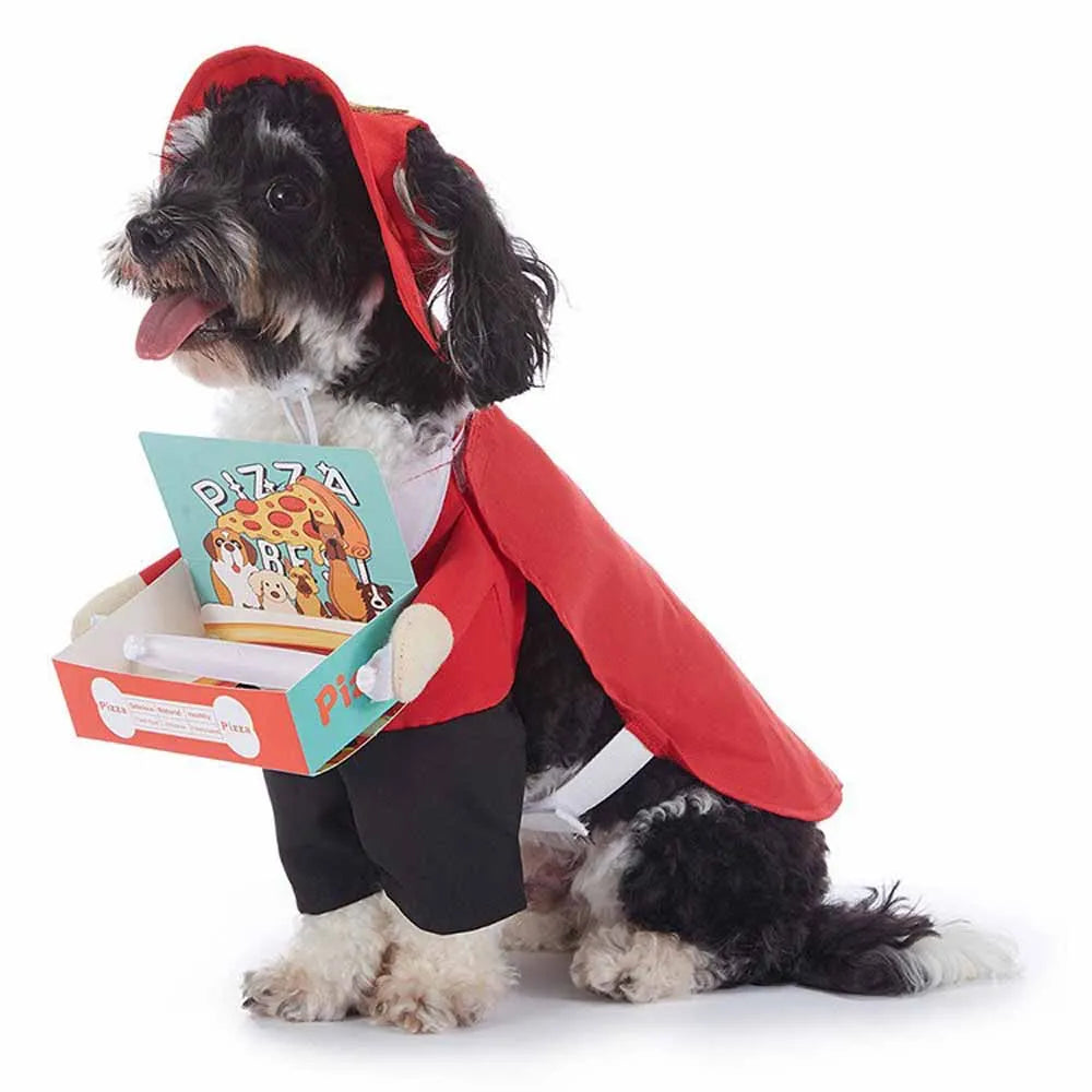 Cute & Funny Halloween Pet Costumes With Hat
