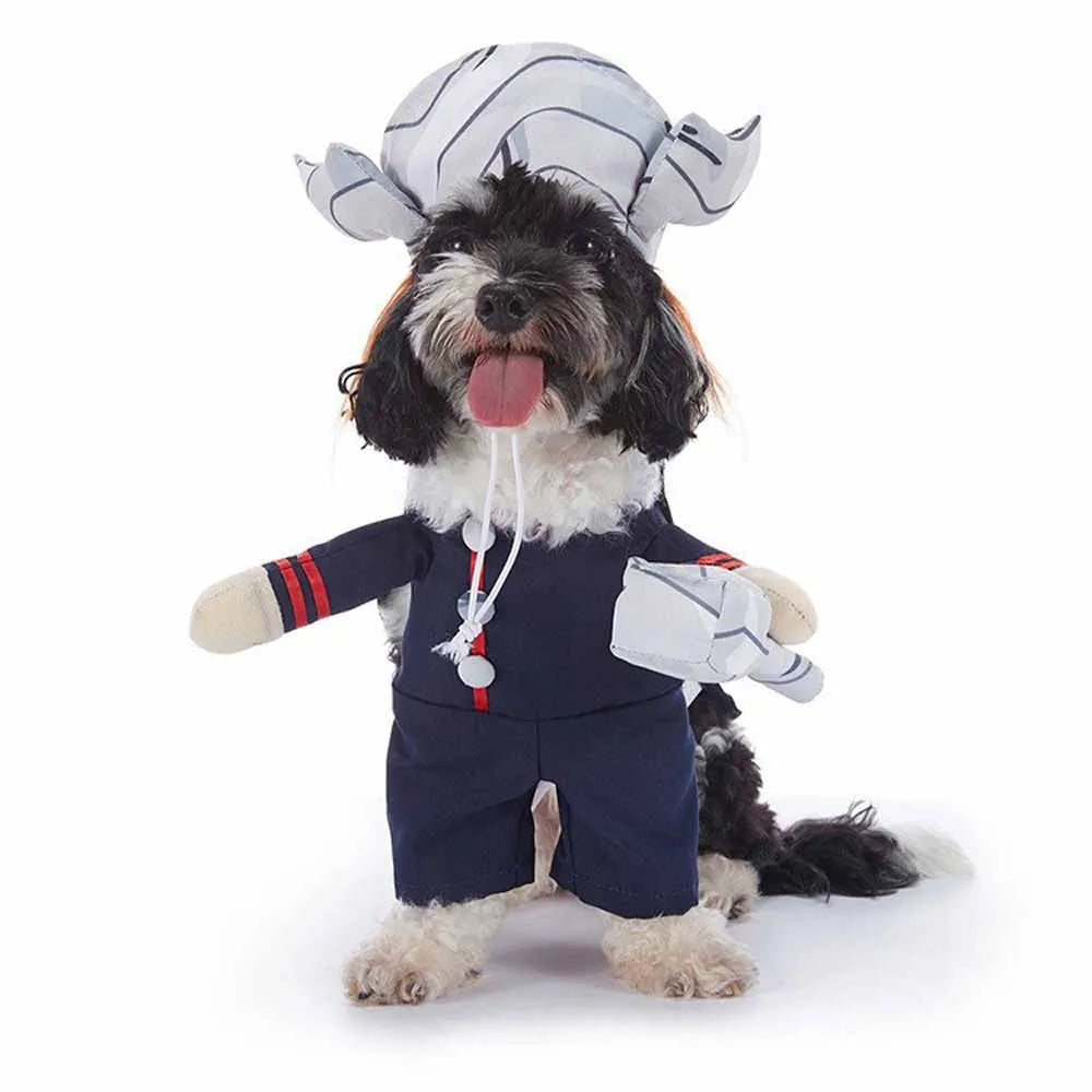Cute & Funny Halloween Pet Costumes With Hat