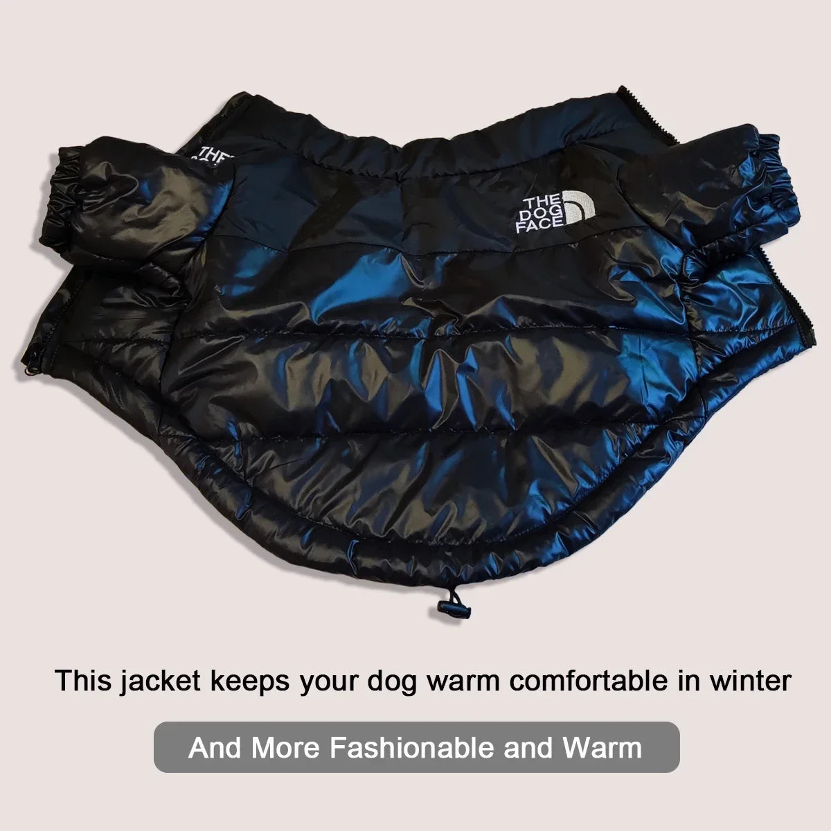 Large Winter Windproof Jacket For Small, Medium Dogs