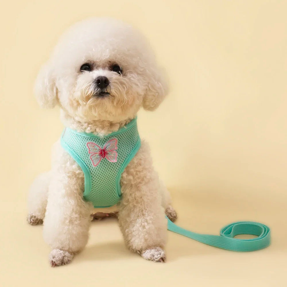 Cute Breathable Butterfly Dog Harness For Small Dogs