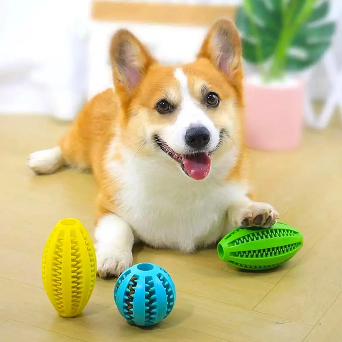 Dog Chew Toys-Natural Rubber,Snack Ball, Bouncy