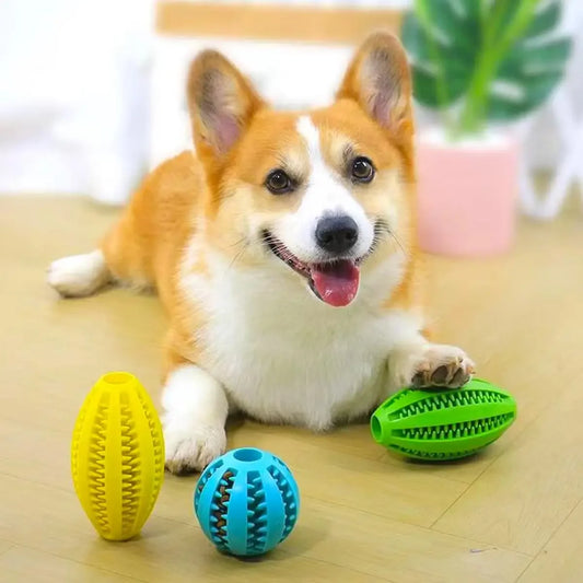 Dog Chew Toys-Natural Rubber,Snack Ball, Bouncy
