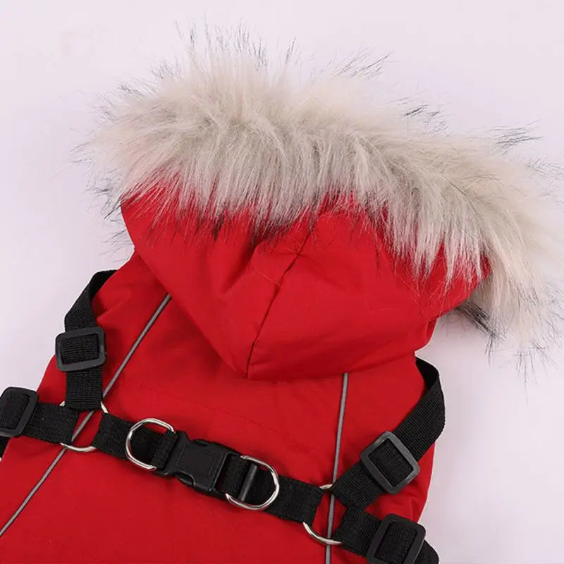 Warm Hooded Jacket With Harness For Dogs