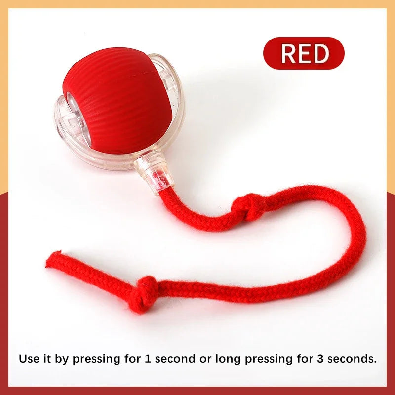 Electronic, Moving, Bouncing Ball For Pets - Automatic