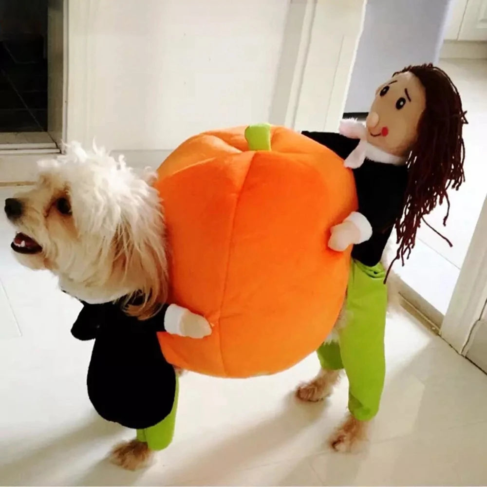 Funny Halloween Pet Costumes - Cats, Dogs