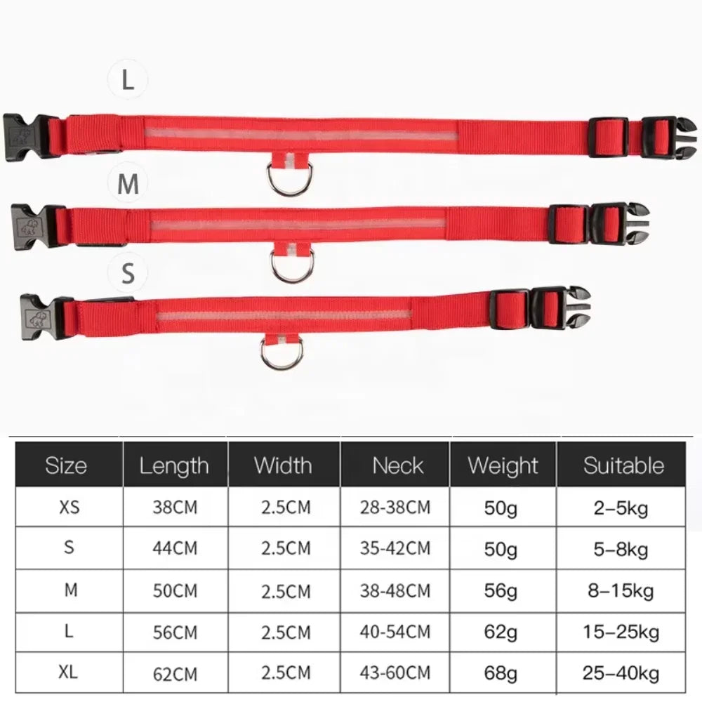 Small Dog Light Collar Leash - Training, Support