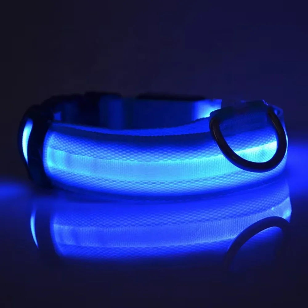 Small Dog Light Collar Leash - Training, Support